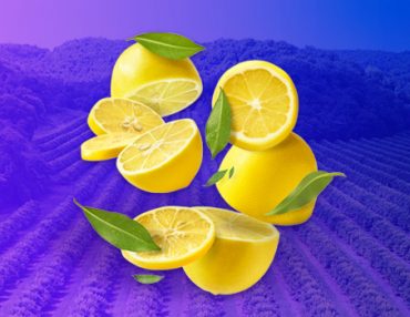 El limón, el amigo perfecto